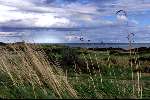 Maandag 13 September 1999
The European Golfclub
Golfen Ierland
At Brittas Bay in Wicklow