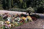 Amsterdam   25 Augustus 2001
Begrafenis Sylvia Millecam
Graf