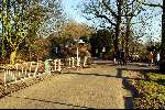 Wassenaar 8 december 2003
Bezoek bij de Horsten na geboorte kindje Maxima en Prins Willem Alexander. Politie bij wegopbreking