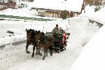 Lech 12 februari 2005
Officieel fotouur met Maxima Amalia Prins Willem Alexander en Koningin Beatrix
Peter Smulders bv