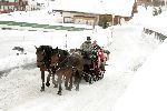 Lech 12 februari 2005
Officieel fotouur met Maxima Amalia Prins Willem Alexander en Koningin Beatrix
Peter Smulders bv