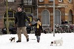 Amsterdam 6 maart 2005
Barry Hay met dochter en hondjs in de sneeuw
Peter Smulders bv
