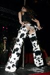 Amsterdam 4 december 2004
Feest Ex porn star in marcanti Plaza.
Laura Vina  . Nicht van prinses Maxima paaldansen.   met diverse tatoos